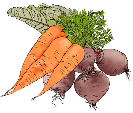 Carrots_Beets
